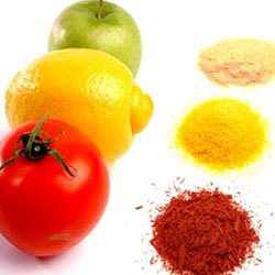 Spray Dried Fruit Powders